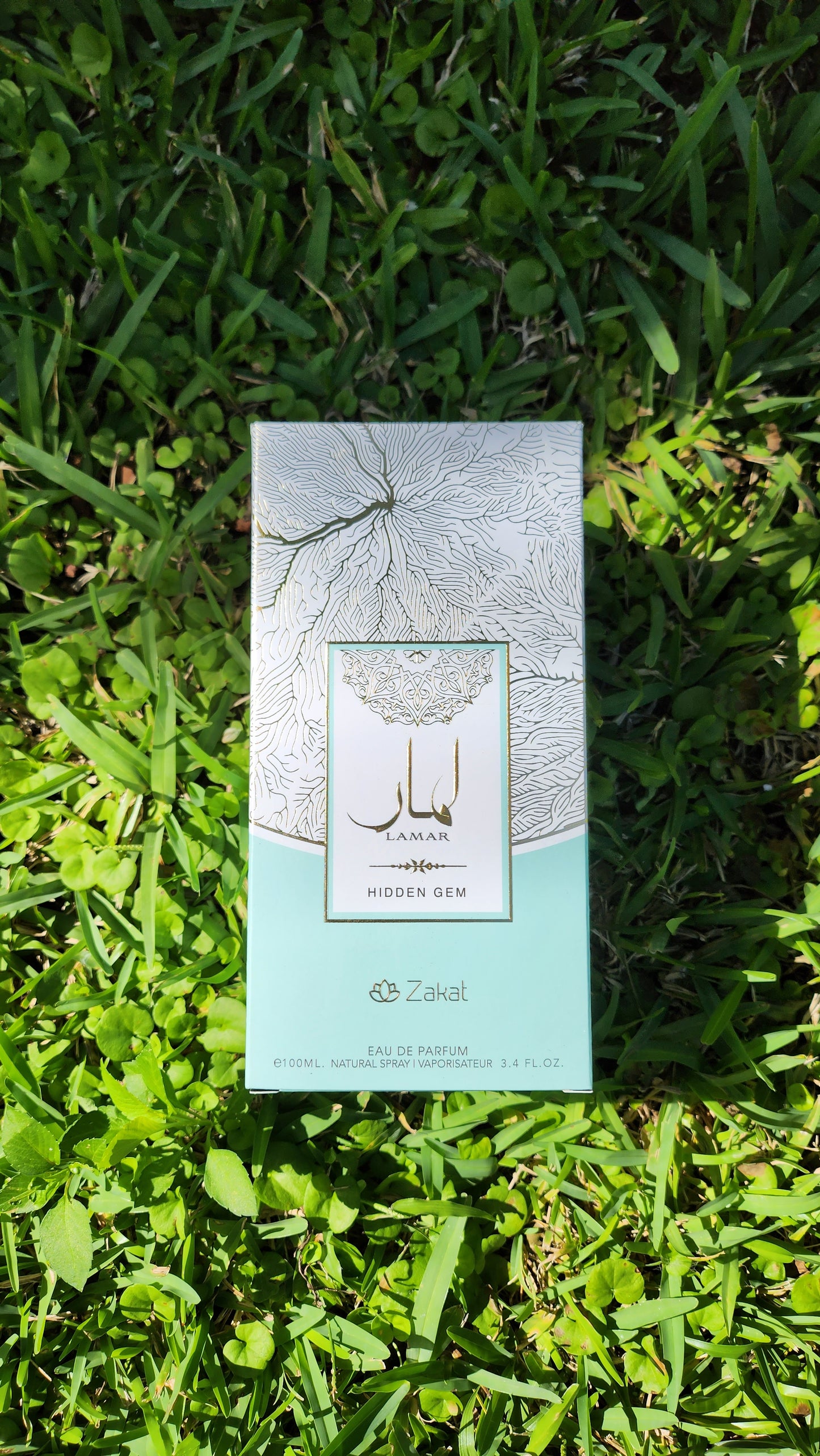 Lamar Hidden Gem by Zakat Perfume Box in the middle laying down in a grass field 