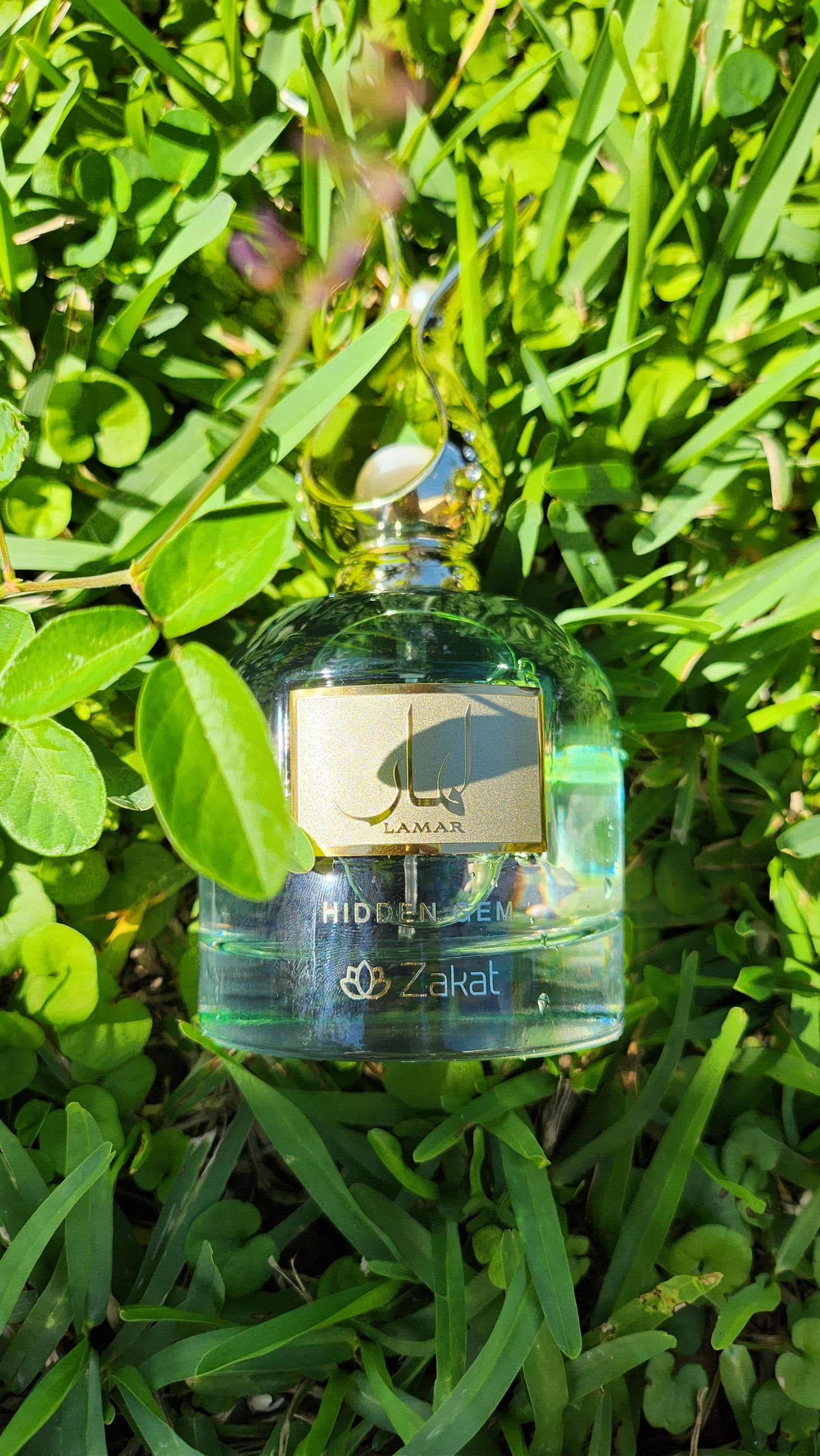 Lamar Hidden Gem by Zakat Perfume in lay in the center of a grass field with sunlight shinning through